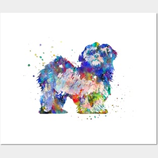 Lhasa Apso Posters and Art